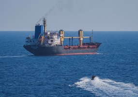 Klaipėdoje pasitikti iš ES karinės operacijos Viduržemio jūroje grįžę kariai - 3
