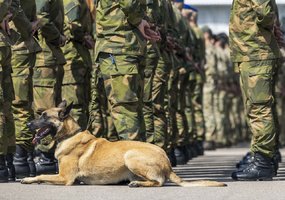 Tarnybą Lietuvoje pradeda naujos rotacijos NATO Priešakinių pajėgų kovinė grupė  - 2