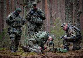 Lietuvos ir Vokietijos kariai treniruojasi tarptautinėse pratybose  „Grand Eagle-24”   - 1