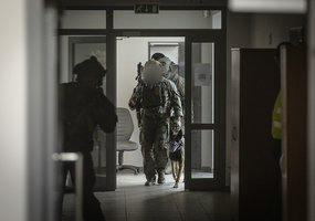 Lietuvoje vyksta tarptautinės NATO Specialiųjų operacijų pajėgų pratybos „Liepsnojantis kalavijas... - 5