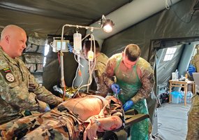 Lietuvos karo medikai kartu su sąjungininkais treniravosi Vengrijoje - 3