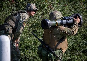 Dvejus metus vykdoma mokymo operacija „Interflex“: parengta 40 tūkst. Ukrainos karių - 1