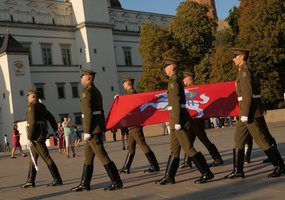 Lietuvos kariuomenė Oršos mūšio metines tradiciškai paminėjo pergalės eisena - 6