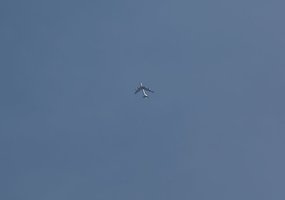 Pratybos Lietuvoje: iš 6 kilometrų aukščio bombas metė JAV bombonešiai ir Italijos naikintuvai,... - 1