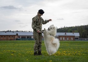 Lietuvos kariuomenėje paminėta Šuns diena, savo gebėjimus demonstravo tarnybiniai šunys - 10