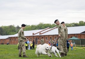 Lietuvos kariuomenėje paminėta Šuns diena, savo gebėjimus demonstravo tarnybiniai šunys - 14