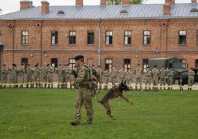 Lietuvos kariuomenėje paminėta Šuns diena, savo gebėjimus demonstravo tarnybiniai šunys - 9