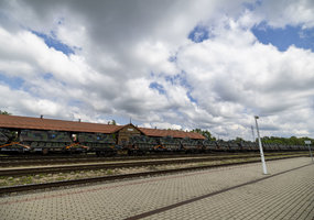 Combined deployment to Pabradė Training Area rehearsed at Exercise King’s Strike 2025   - 8