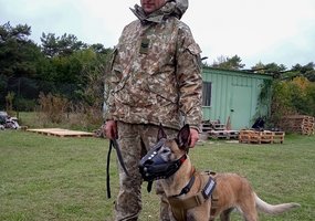 Išminuotojai su tarnybiniais šunimis treniravosi tarptautinėse pratybose „Dog Fighter“ - 4