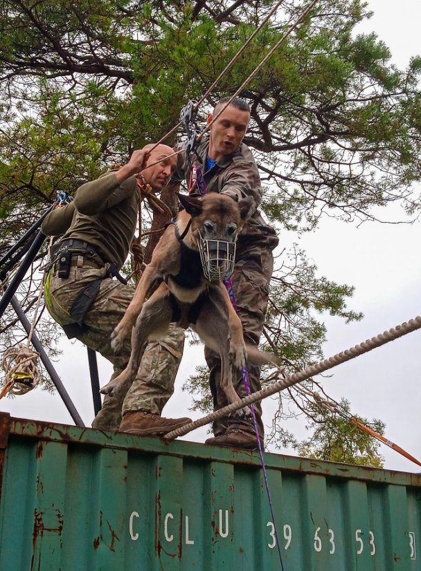 Išminuotojai su tarnybiniais šunimis treniravosi tarptautinėse pratybose „Dog Fighter“