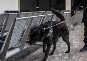 Inžinieriai su tarnybiniais šunimis dalyvavo tarpinstituciniuose mokymuose Kauno oro uoste - 2