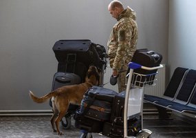 Inžinieriai su tarnybiniais šunimis dalyvavo tarpinstituciniuose mokymuose Kauno oro uoste - 1