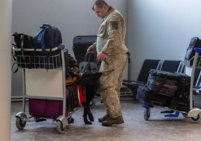 Inžinieriai su tarnybiniais šunimis dalyvavo tarpinstituciniuose mokymuose Kauno oro uoste - 4