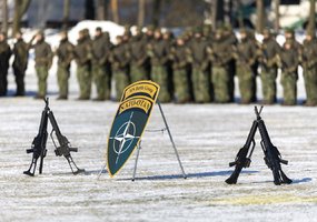 NATO Multinational Battlegroup has merged with the German Brigade Litauen stationed in Lithuania   - 6