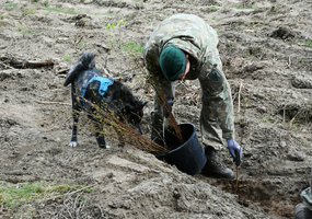 Nacionaliniame miškasodyje dalyvavo ir šimtai Lietuvos karių - 22