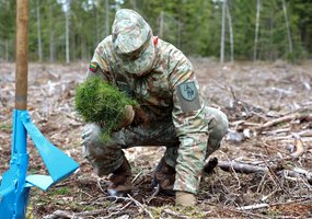 Nacionaliniame miškasodyje dalyvavo ir šimtai Lietuvos karių - 4