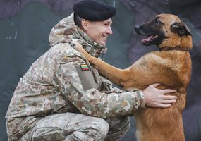 Lietuvos kariuomenės keturkojės išminuotojos Gilzė ir Sparta grįžo iš mokymų Lenkijoje - 2