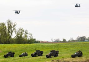 Exercise Brave Griffin 26/II has concluded: military personnel of Lithuania, Poland and Portugal... - 10