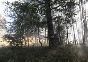 „Stiprus Grifonas 2026“: Ukrainos karo patirties integracija į pratybas, koviniai šaudymai iš... - 1