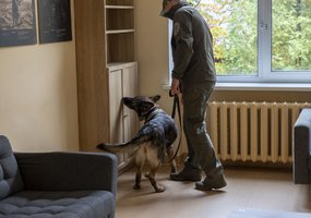 Pirmą kartą Inžinerijos pulke surengti tarpinstituciniai sprogmenų paieškos su tarnybiniais... - 3